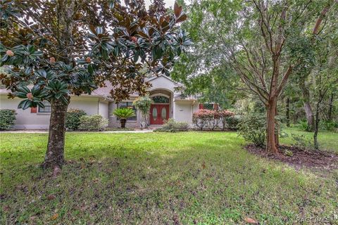 A home in Homosassa