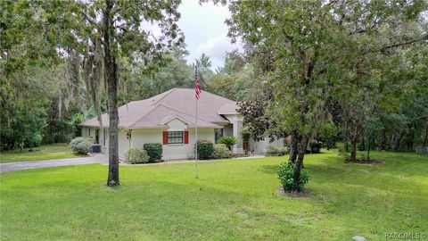 A home in Homosassa