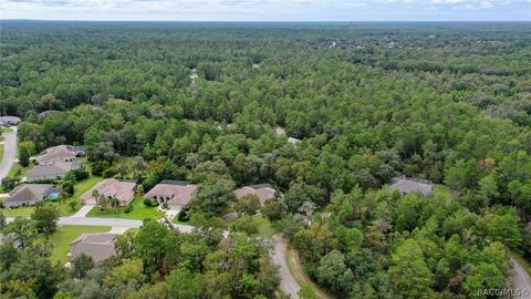 A home in Homosassa