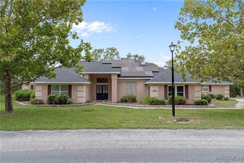 24 Black Willow Court N Homosassa FL 34446