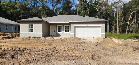 A home in Citrus Springs