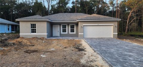 A home in Citrus Springs