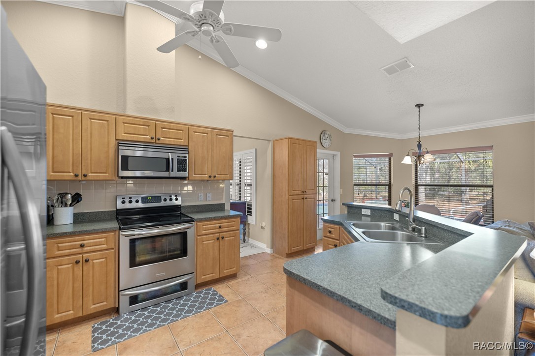 60 Cypress Boulevard, Homosassa, Florida image 11