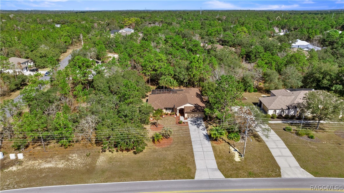 60 Cypress Boulevard, Homosassa, Florida image 6