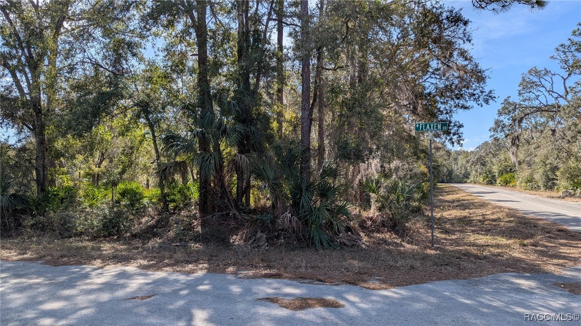 12228 W Flaxen Drive, Crystal River, Florida image 4