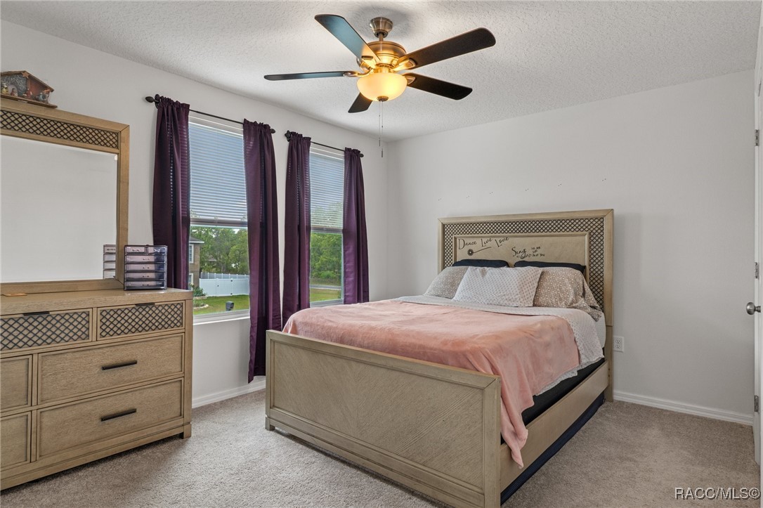 7196 N Farmington Terrace, Citrus Springs, New York image 35