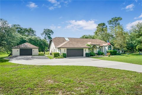 5771 N Carnation Drive Beverly Hills FL 34465