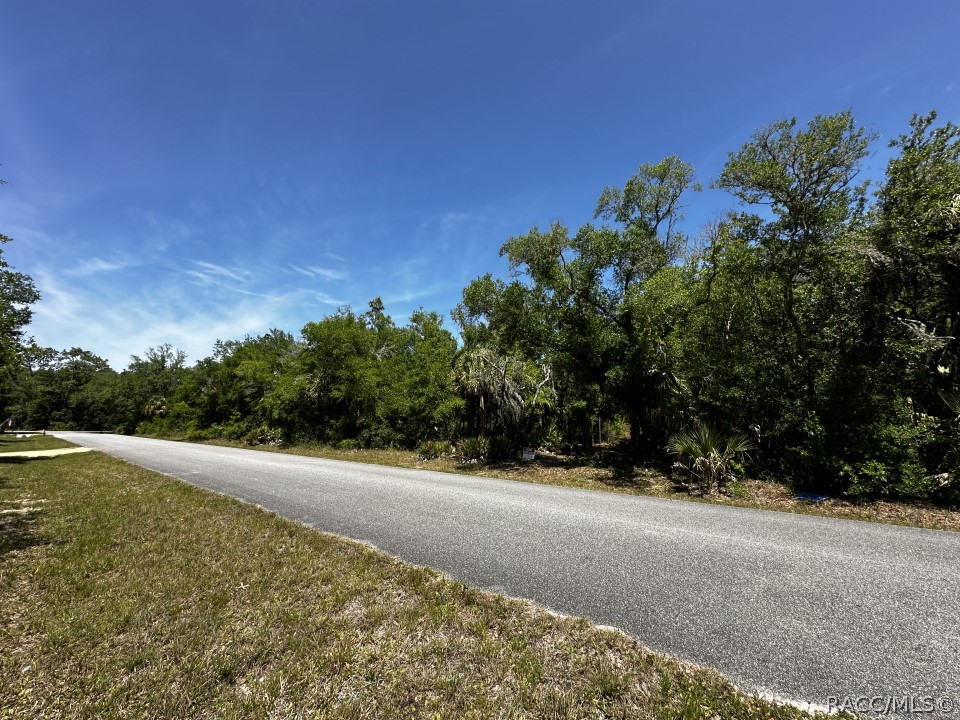 8601 N Odyssey Drive, Crystal River, Florida image 6