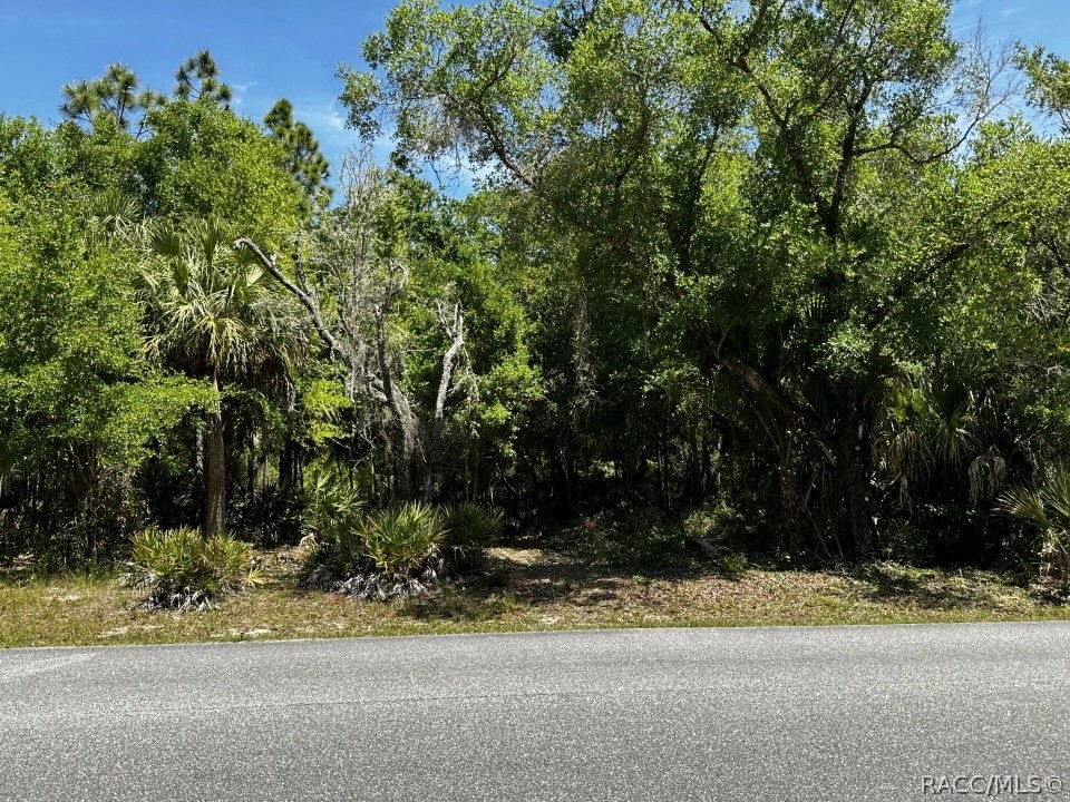 8601 N Odyssey Drive, Crystal River, Florida image 9