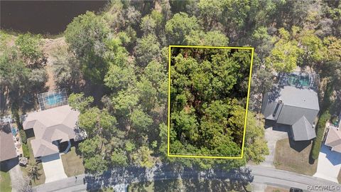 Vacant Land For Sale - 20 Hawthorne Court<br/> Homosassa, FL 34446