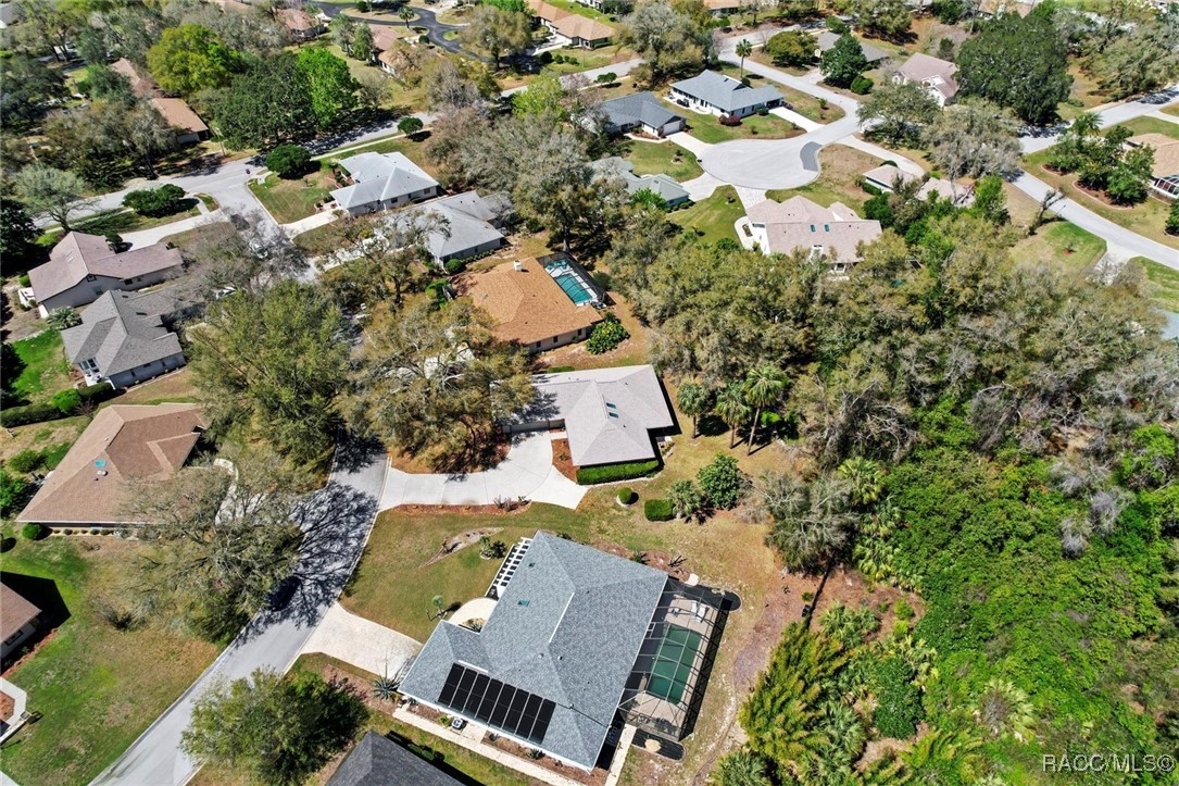 1469 N Chapelcross Loop, Crystal River, Florida image 39