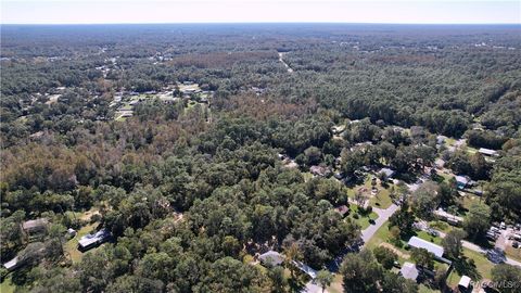 A home in Homosassa