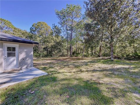 A home in Homosassa