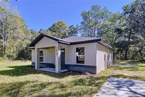 A home in Homosassa