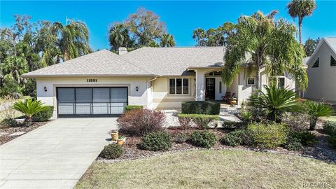 11551 W Timberlane Drive Homosassa FL 34448
