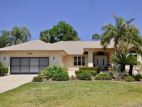 11551 W Timberlane Drive Homosassa FL 34448