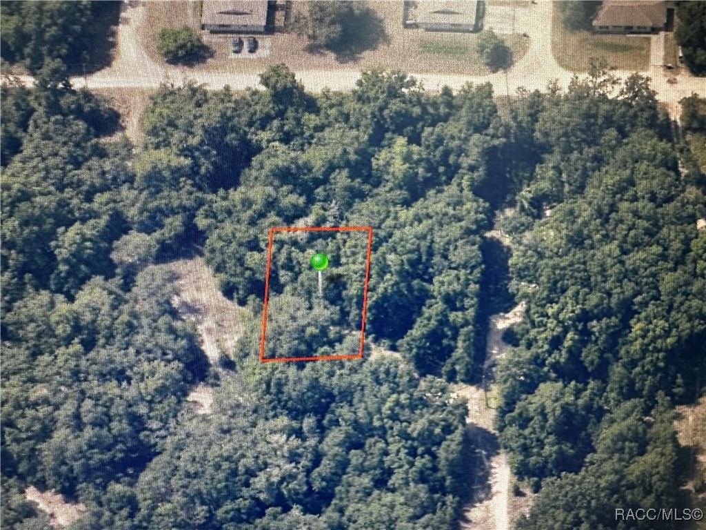 2607 Garfield Street, Inverness, Florida image 3