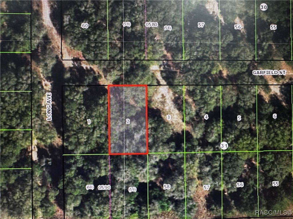 2607 Garfield Street, Inverness, Florida image 1