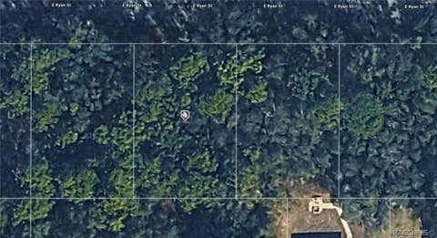 Vacant Land For Sale - 3984 E Ryan Street<br/> Inverness, FL 34453