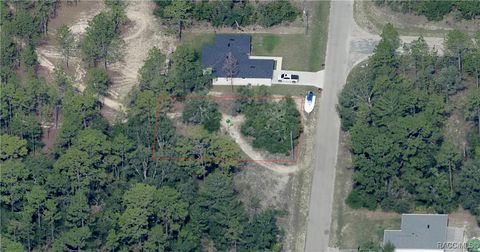 Homes For Sale - 1776 W Cary Drive<br/> Citrus Springs, FL 34434