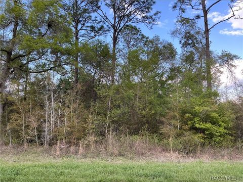 Homes For Sale - 8749 N Upland Drive<br/> Citrus Springs, FL 34434