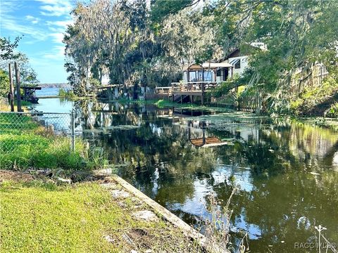 A home in Lake Panasoffkee