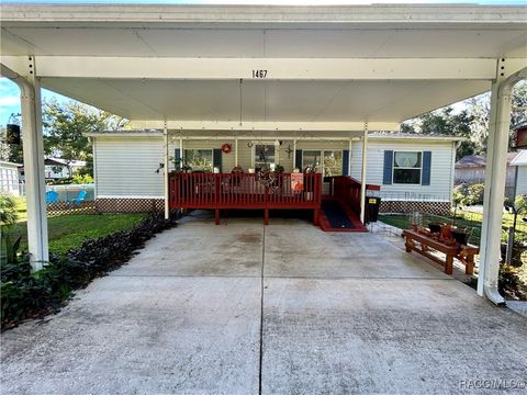 A home in Lake Panasoffkee