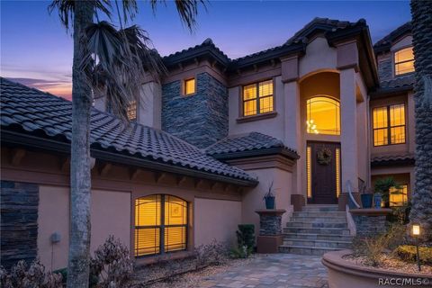 1105 W Pointe Vista Path 43 Hernando FL 34442