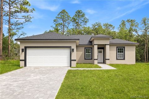 Homes For Sale - 8555 N Trojan Drive<br/> Citrus County, Citrus Springs, FL 34433