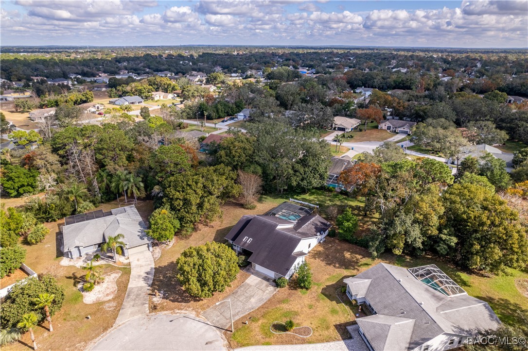 10086 Huckleberry Drive, Spring Hill, Florida image 47