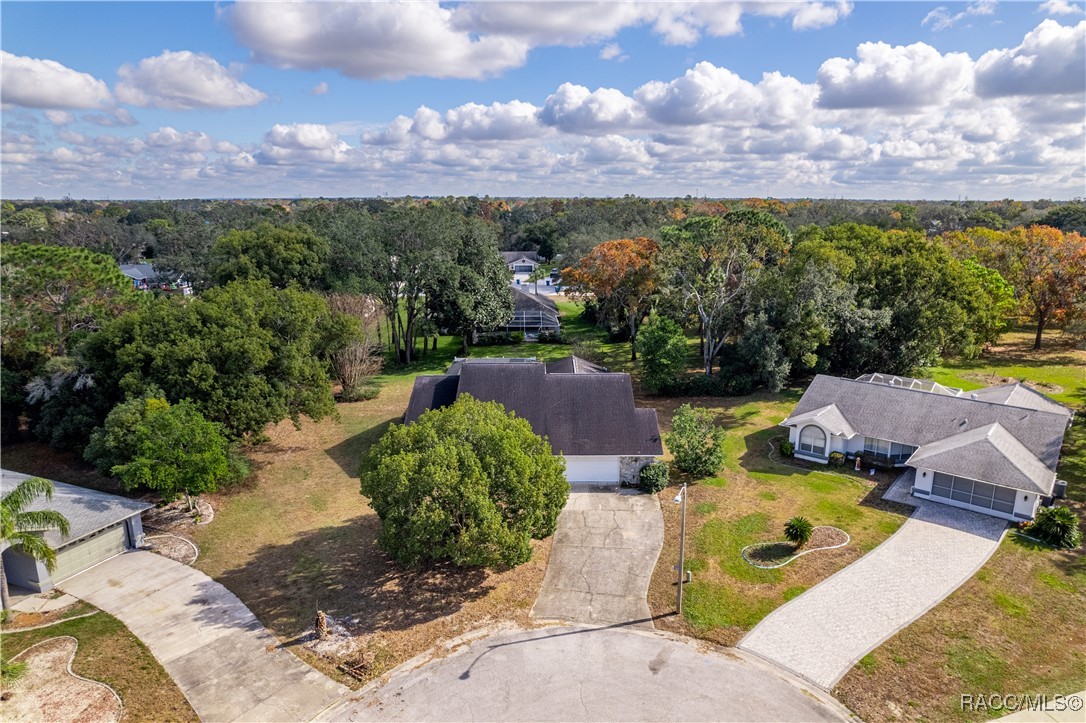 10086 Huckleberry Drive, Spring Hill, Florida image 10