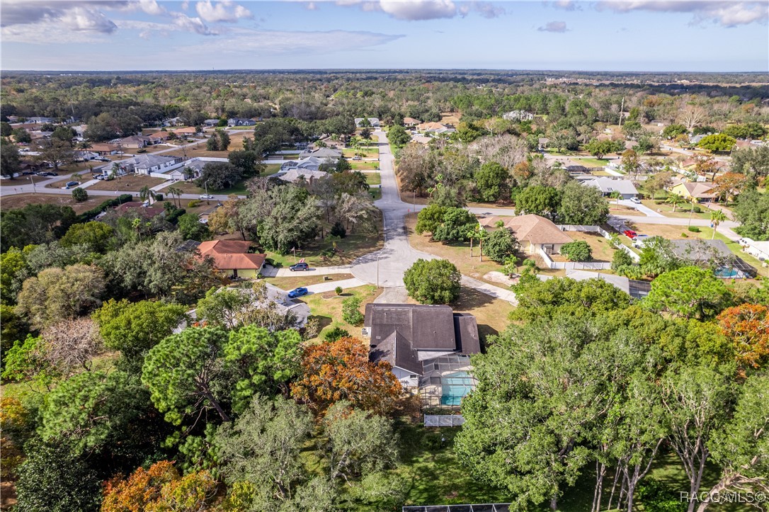 10086 Huckleberry Drive, Spring Hill, Florida image 39