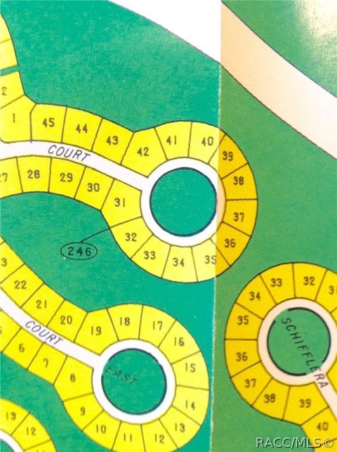 Vacant Land For Sale - 47 Matricaria Court<br/> Homosassa, FL 34446