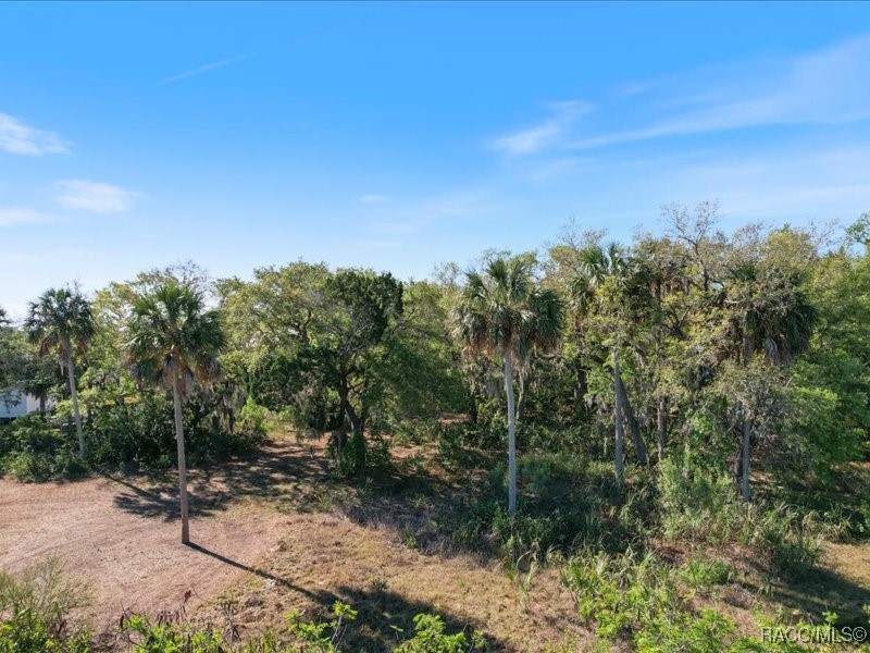 1465 S Surf Loop, Crystal River, Florida image 9