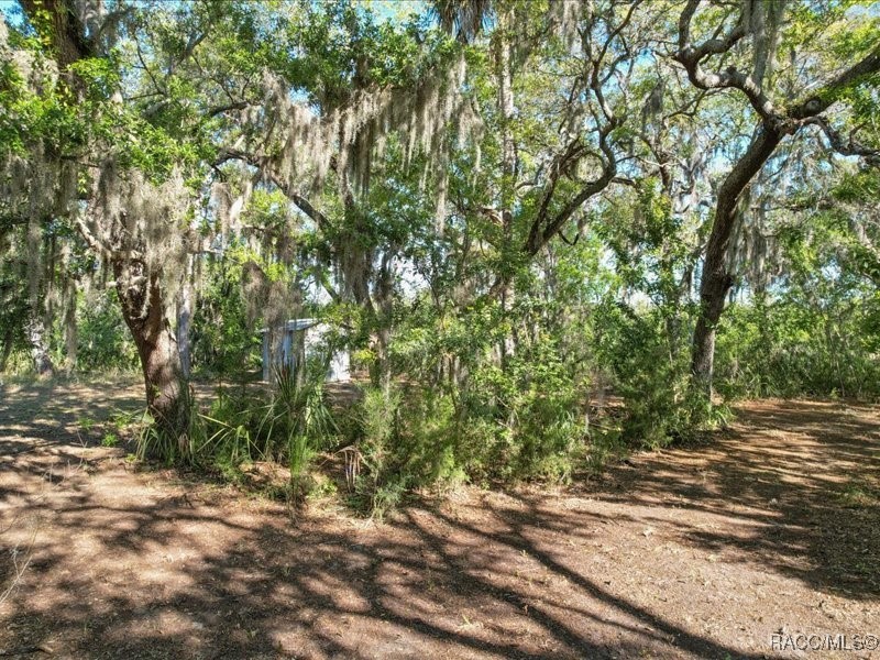 1465 S Surf Loop, Crystal River, Florida image 15