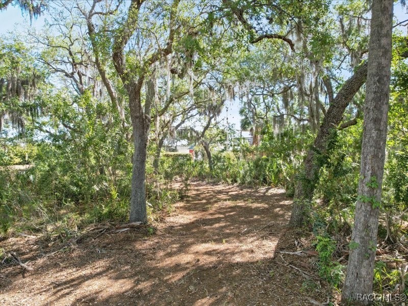 1465 S Surf Loop, Crystal River, Florida image 16