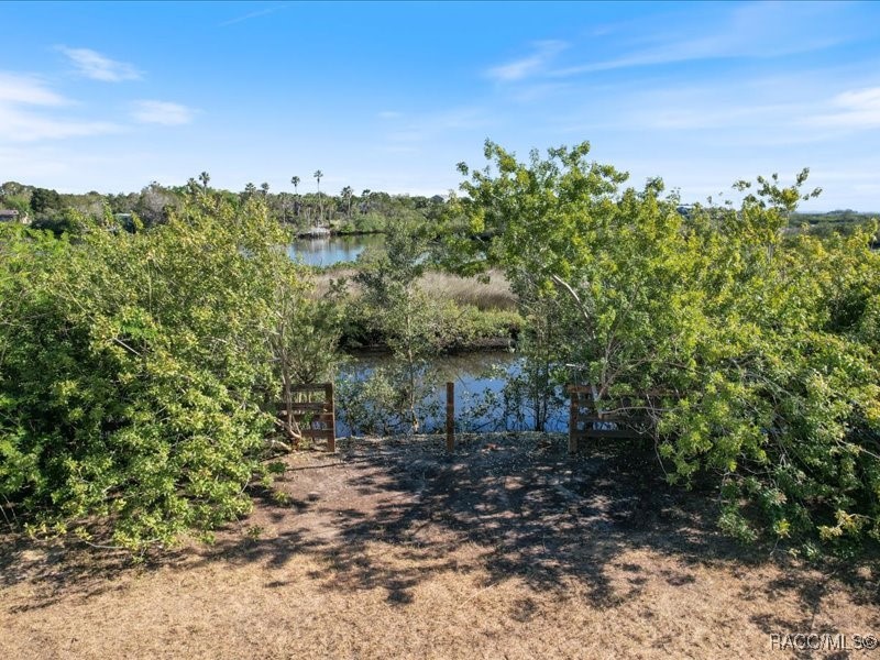 1465 S Surf Loop, Crystal River, Florida image 14