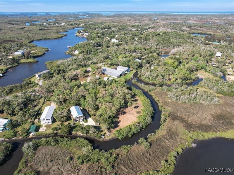 1465 S Surf Loop, Crystal River, Florida image 1