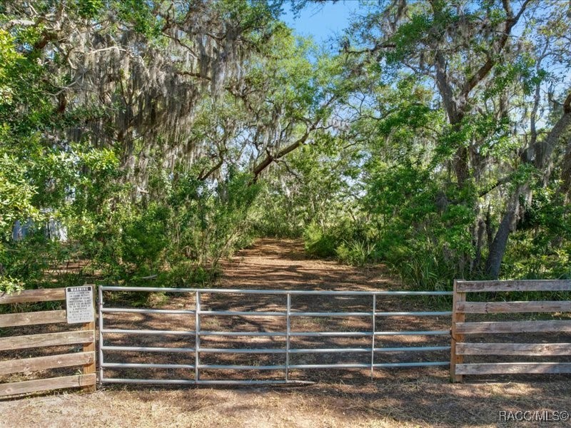 1465 S Surf Loop, Crystal River, Florida image 11