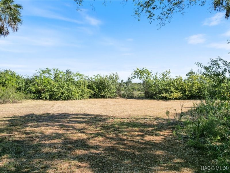 1465 S Surf Loop, Crystal River, Florida image 17