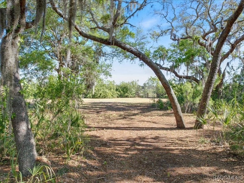 1465 S Surf Loop, Crystal River, Florida image 5
