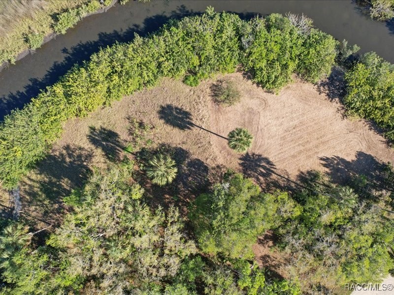 1465 S Surf Loop, Crystal River, Florida image 13