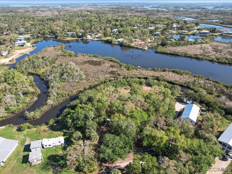 1465 S Surf Loop, Crystal River, Florida image 7
