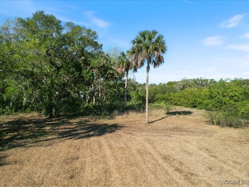 1465 S Surf Loop, Crystal River, Florida image 3