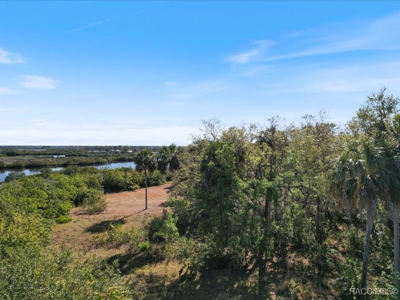 1465 S Surf Loop, Crystal River, Florida image 10