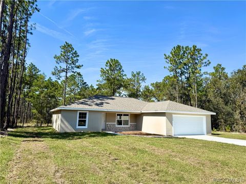 Homes For Sale - 1540 E Artesian Lane<br/> Dunnellon, FL 34434