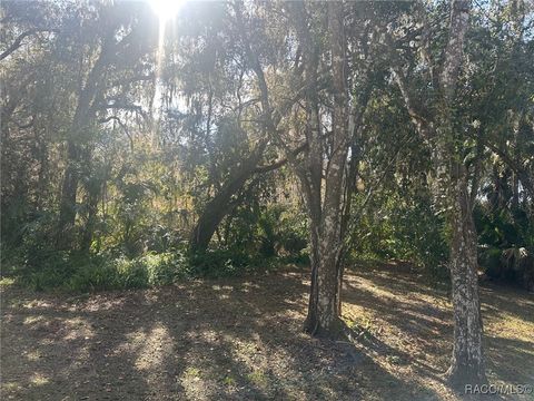 Vacant Land For Sale - 3100 N Edwards Island<br/> Hernando, FL 34442