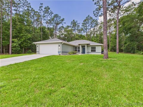 8456 N Dove Orchid Drive Citrus Springs FL 34434
