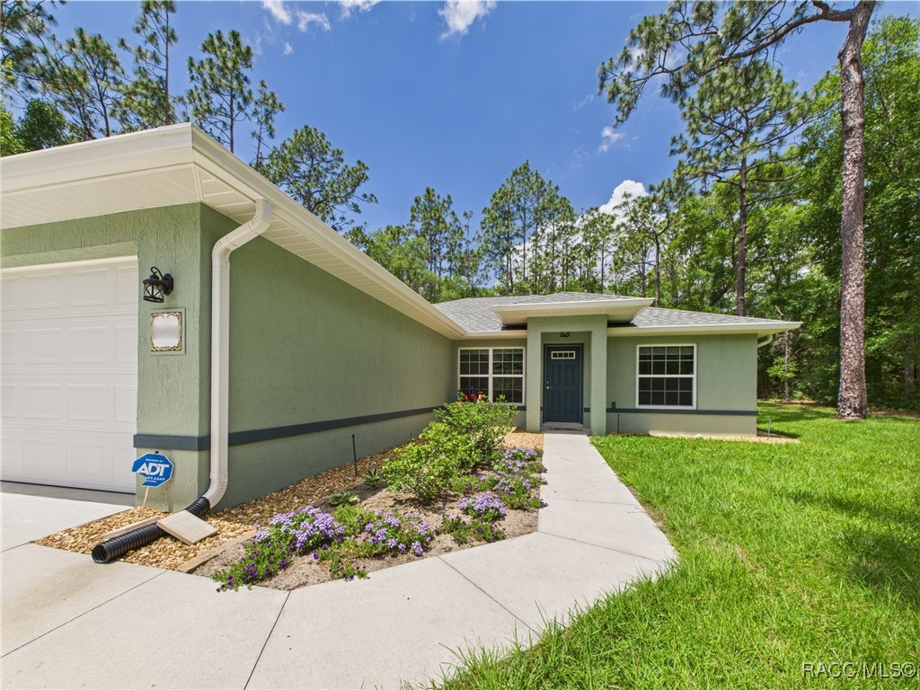 8456 N Dove Orchid Drive