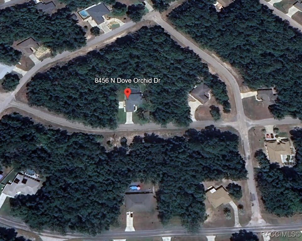 8456 N Dove Orchid Drive, Citrus Springs, Florida image 44